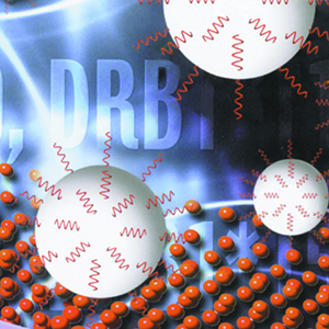 MOLECULAR TYPING